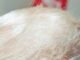 Hajia4Real added to US criminal list