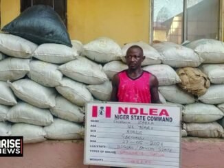 NDLEA Arrests Couple, Seizes Ammunition