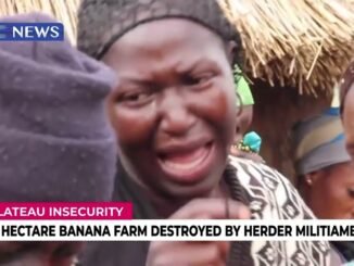 Teen Herder, 15, Arrested for Farmland Destruction