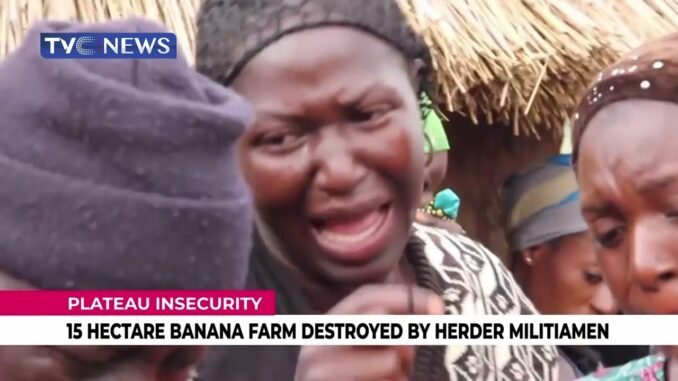 Teen Herder, 15, Arrested for Farmland Destruction