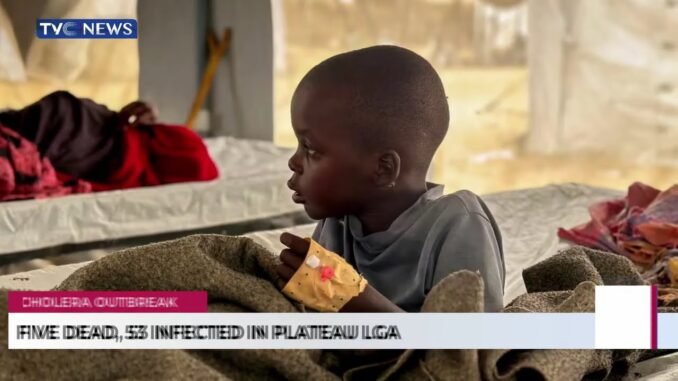 Five Dead as Cholera Outbreak Hits