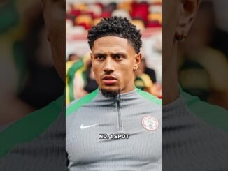 Top clubs chasing goalkeeper Maduka Okoye