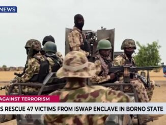 Nigerian troops rescue 47 ISWAP captives