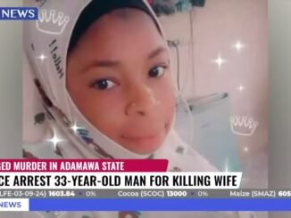 Husband Wanted for Alleged Axe Attack on Wife