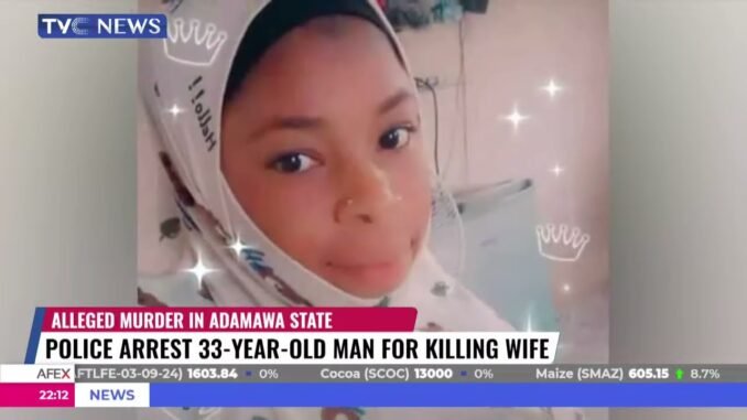 Husband Wanted for Alleged Axe Attack on Wife