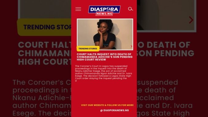 Court halts inquest into Adichie’s sons'death