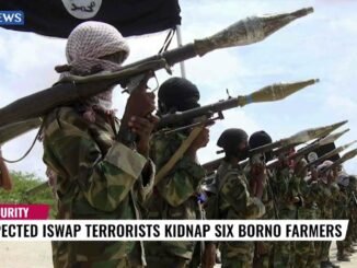 ISWAP Terrorists Nabbed in Adamawa