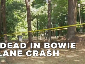 Three Killed as Small Aircraft Crashes into Maryland