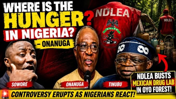 Bayo Onanuga dismisses Nigerian hunger complaints