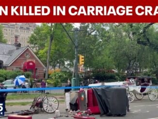 Teenage tourist dies in Central Park accident