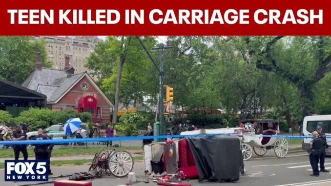 Teenage tourist dies in Central Park accident