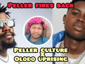 Peller blasts Ycee over "Olodo" comments