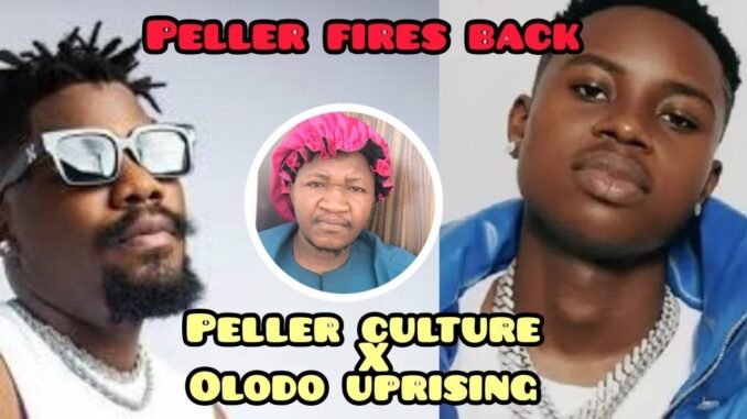 Peller blasts Ycee over "Olodo" comments