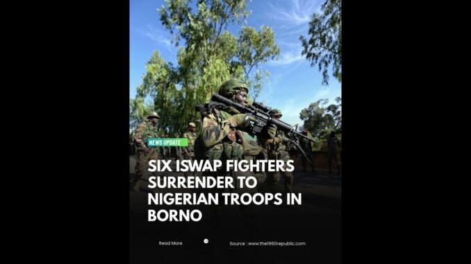 Six Suspected Boko Haram Members Surrender to Troops