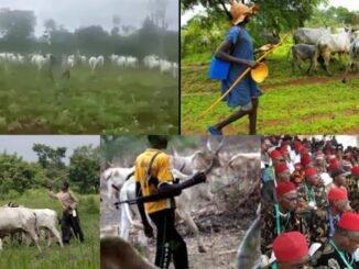 Farmer beaten by herders in Mangu