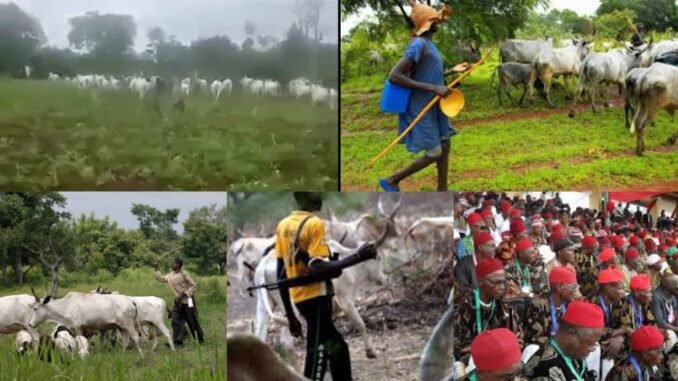 Farmer beaten by herders in Mangu
