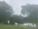 Farmer beaten by herders in Mangu