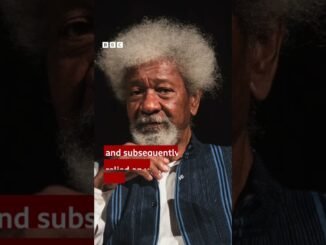 Author seeks help from Soyinka