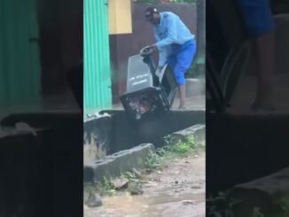 Mother arrested over gutter waste