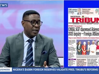 FG clears N330bn power debt