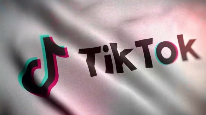 TikTok deletes 4.8M videos