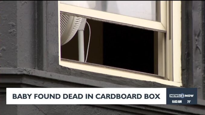 Dead babies found in boxes