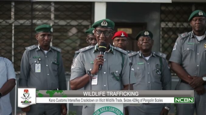 Chinese wildlife suspect handed over