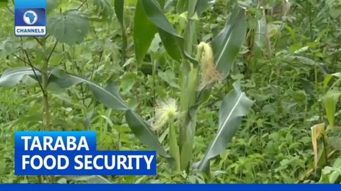 Missing fertiliser bags in Taraba
