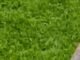 Messi outdribbles Yamal at World Cup