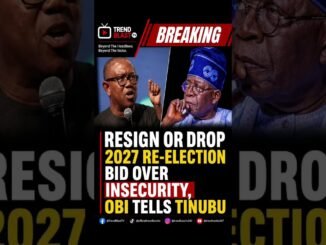 Peter Obi to Tinubu: Resign, Your Government