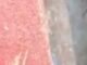 23-Year-Old Held in Bauchi for Alleged Defilement