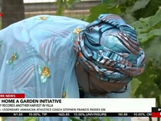 First Lady harvests fresh Villa vegetables
