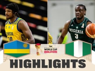 D'Tigers Complete Perfect Window