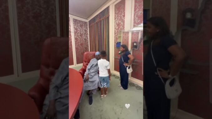 Tinubu Spends Playful Afternoon With Grandchildren