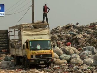 Beheaded Woman's Body Found in Plateau
