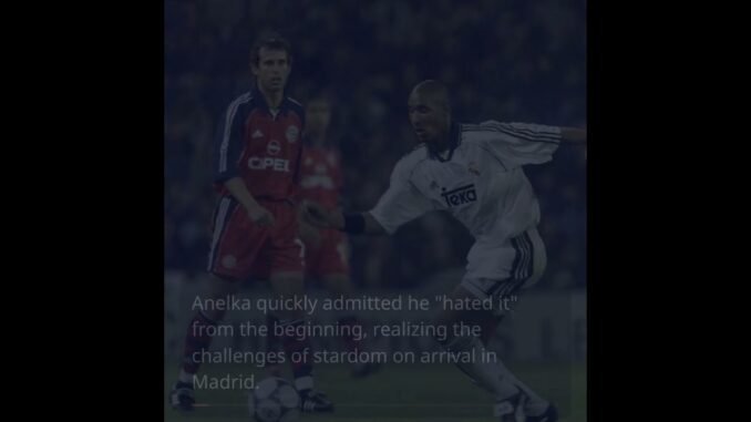 Anelka Breaks Silence on 2010 World Cup Clash