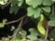 Six Dead, Five Injured in Fresh Bandit Attack