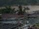 Hundreds of snakes escape Chinese farm due to flooding