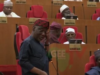 Tinubu Sets Up Policing Bill Panel