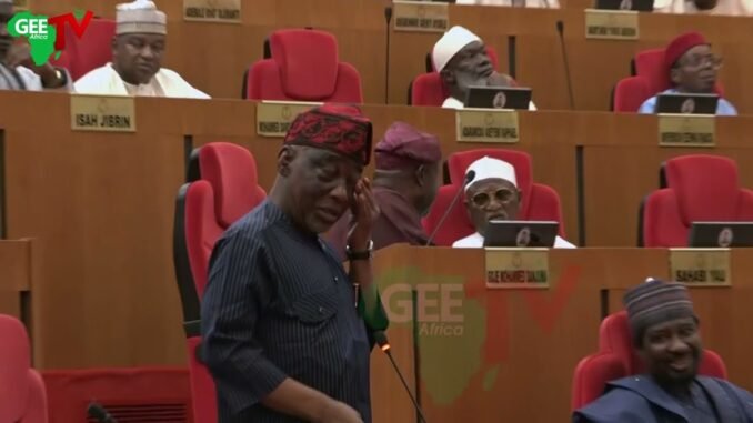 Tinubu Sets Up Policing Bill Panel