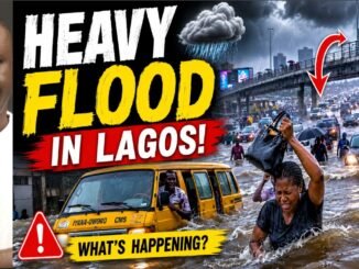 Blackout as Flood Hits Power Substations
