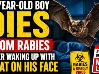 Canadian Boy Dies of Rabies After Bat Exposure