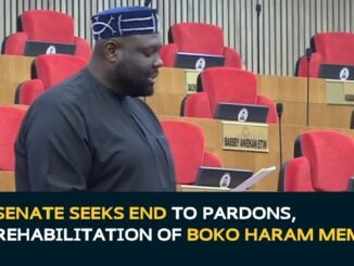 Senate demands end to Boko Haram pardons