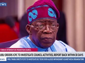 Tinubu orders probe into fake council