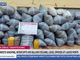 NDLEA busts N10bn cocaine smuggling ring