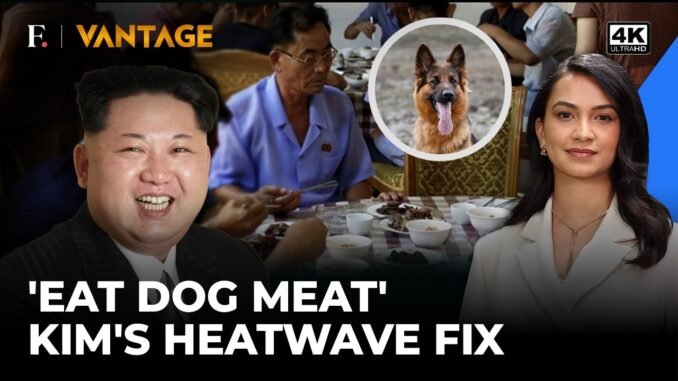North Korea recommends dog meat for heatwave
