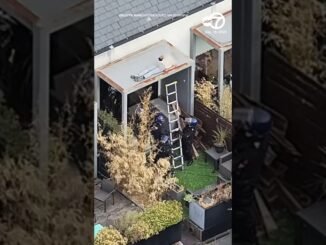 Police End Rooftop Standoff After Suspect