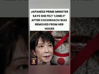 Japanese PM's cockroach confession