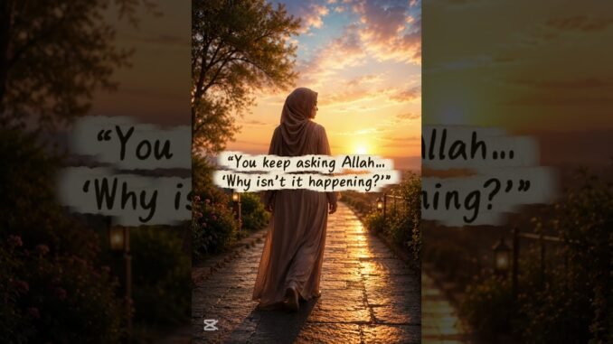 Muslim Woman's Viral Prayer Ahead of Trip to Holy Land
