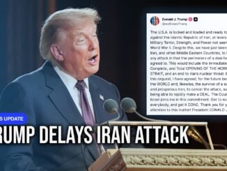 Trump halts Iran strikes amid talks